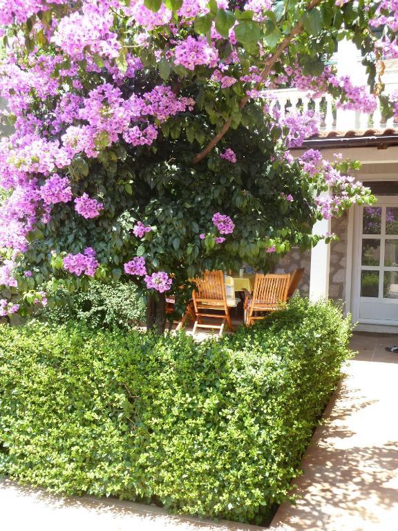 Villa Timy Dubrovnik Habitación foto